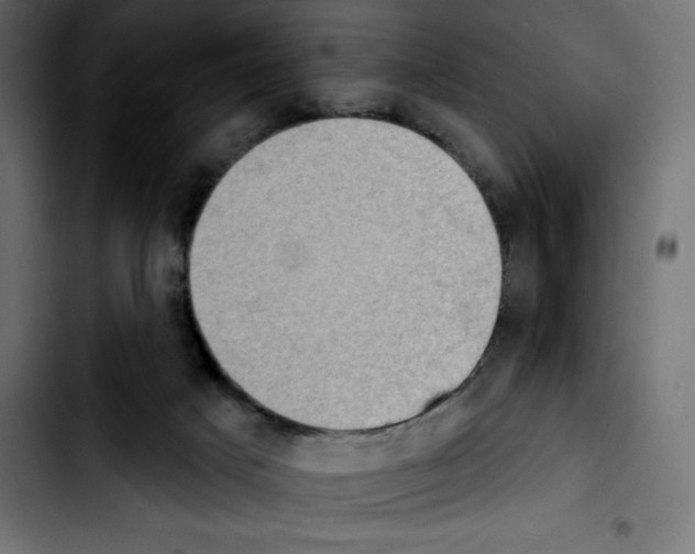 X0000103910025200810311442