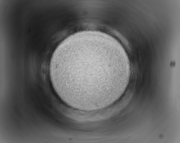 X0000103910026200810311442