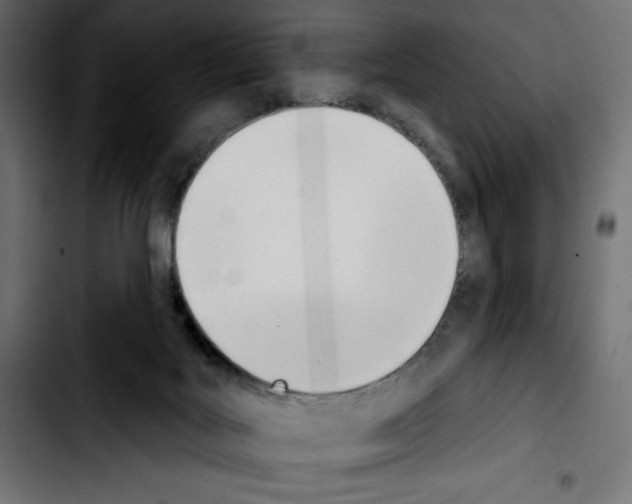 X0000103910027200810311442