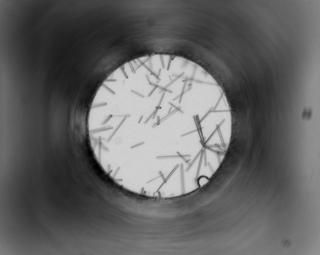 X0000103910028200810311442