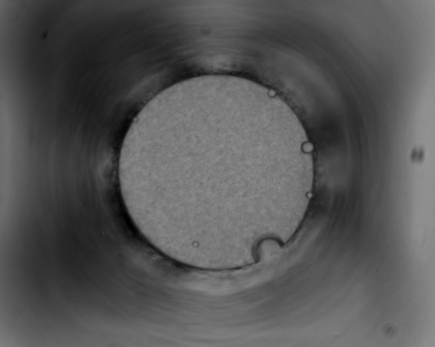 X0000103910029200810311442