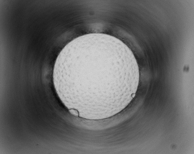 X0000103910030200810311442