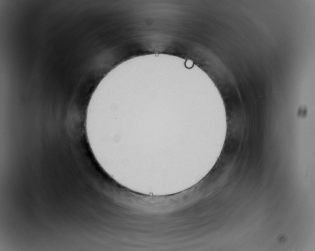 X0000103910031200810311442