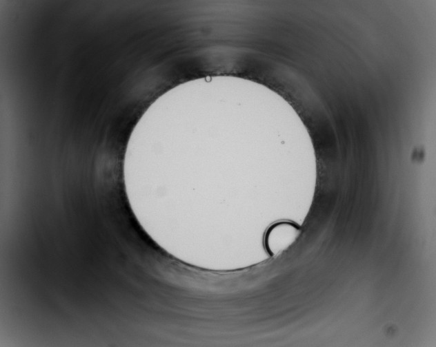 X0000103910035200810311442