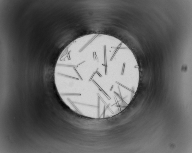 X0000103910036200810311442