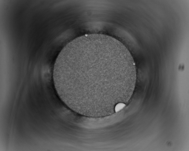 X0000103910037200810311442