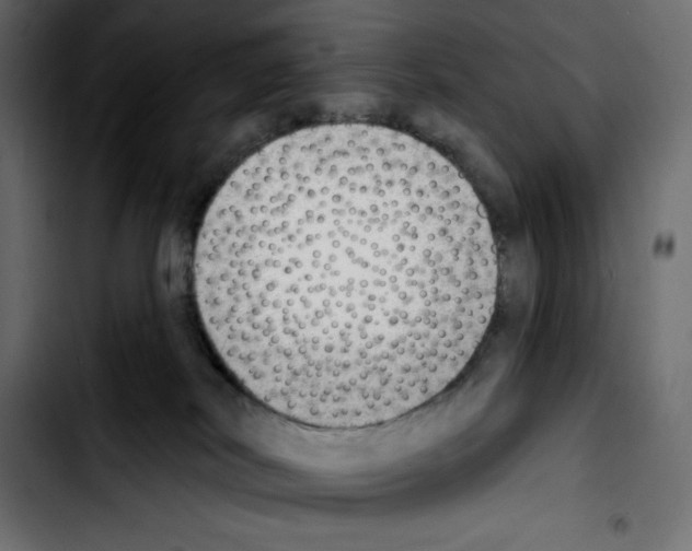 X0000103910038200810311442