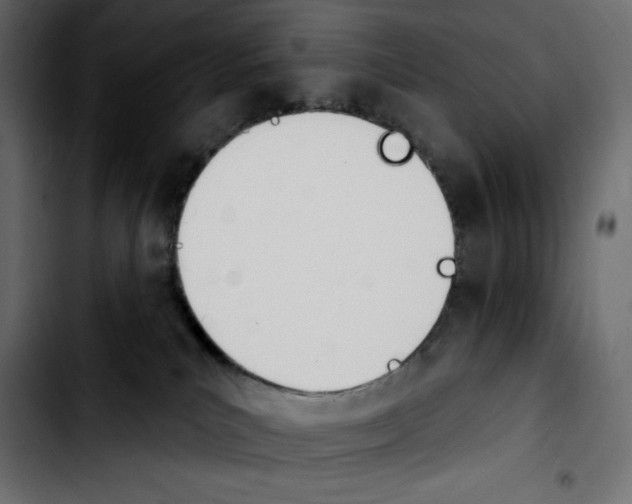 X0000103910039200810311442