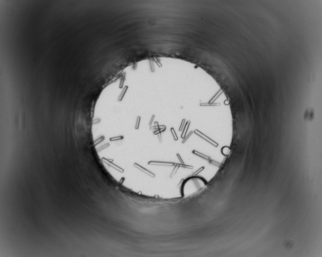 X0000103910040200810311442