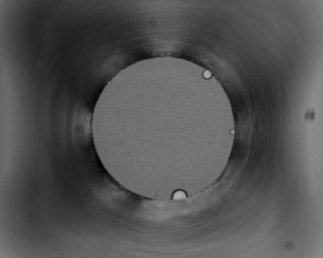 X0000103910041200810311442