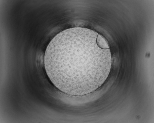 X0000103910042200810311442