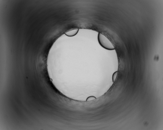 X0000103910043200810311442