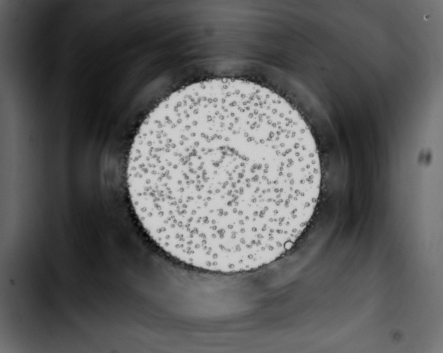 X0000103910044200810311442