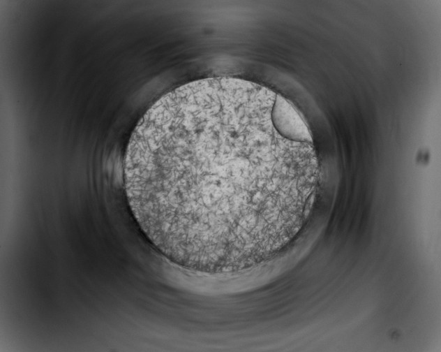 X0000103910046200810311442