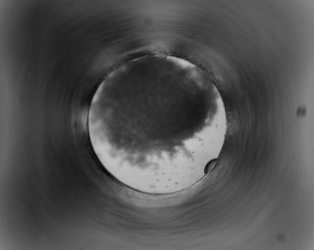 X0000103910047200810311442