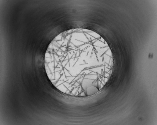 X0000103910048200810311442