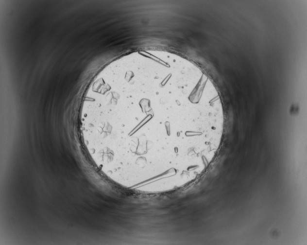 X0000103910049200810311441