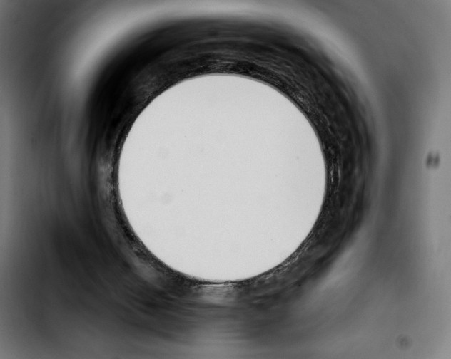 X0000103910050200810311441