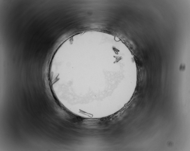 X0000103910051200810311441