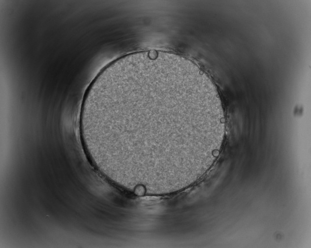 X0000103910052200810311441