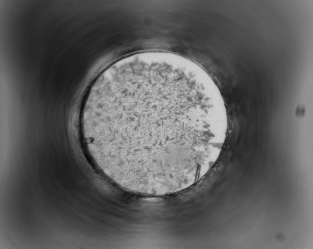 X0000103910053200810311441
