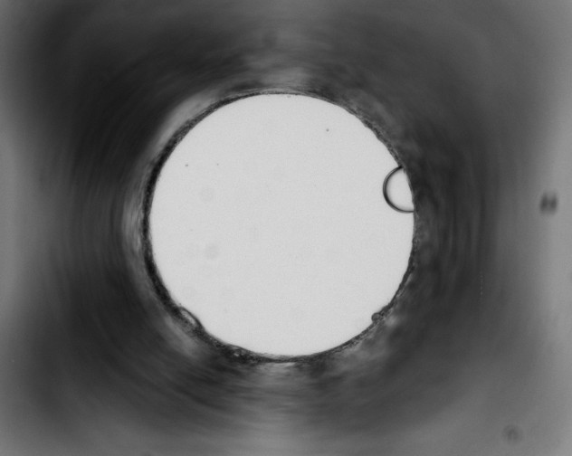 X0000103910054200810311441