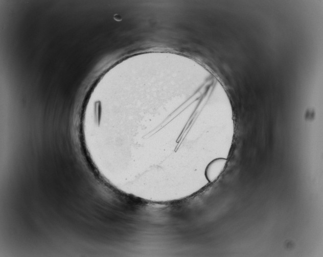 X0000103910055200810311441
