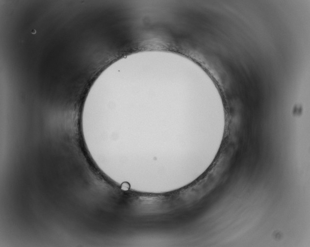 X0000103910057200810311441