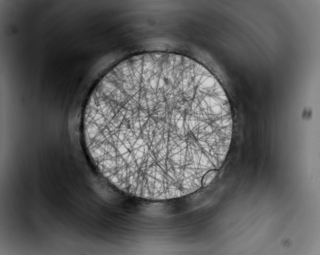 X0000103910058200810311441