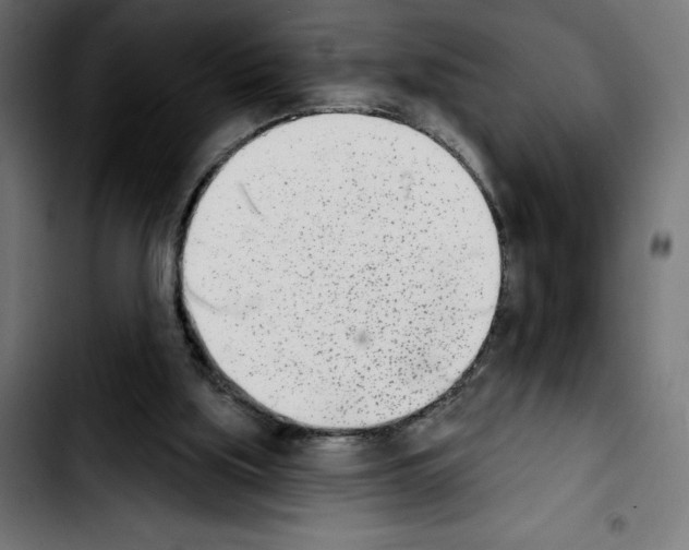 X0000103910059200810311441