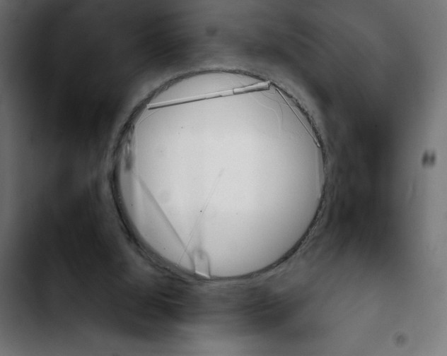 X0000103910060200810311441