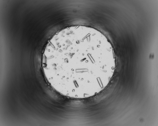 X0000103910061200810311441