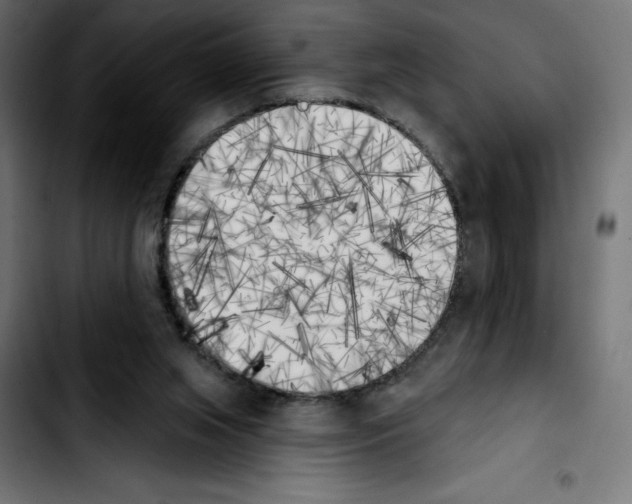X0000103910063200810311441