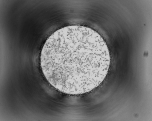 X0000103910065200810311441