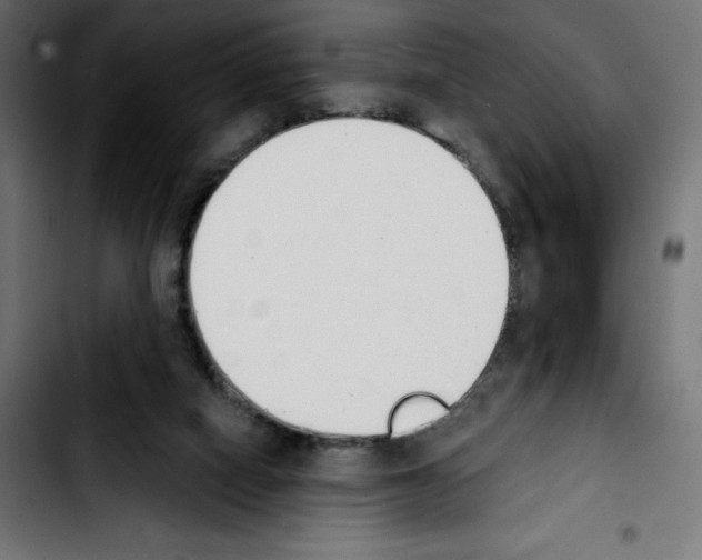 X0000103910066200810311441