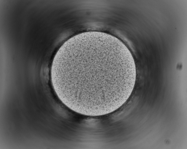 X0000103910067200810311441