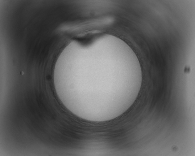 X0000103910068200810311441