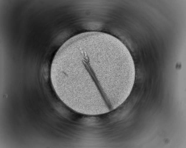 X0000103910069200810311442