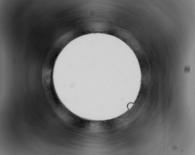 X0000103910070200810311442