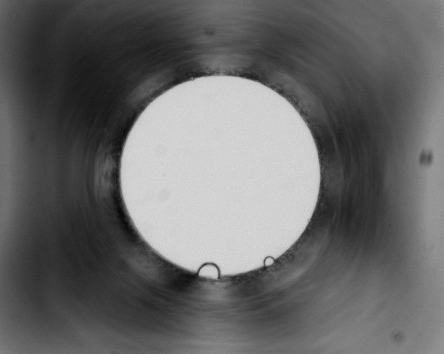 X0000103910071200810311442