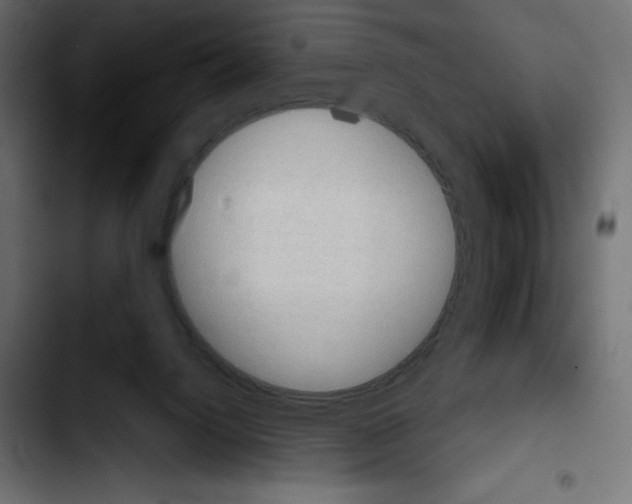 X0000103910072200810311442