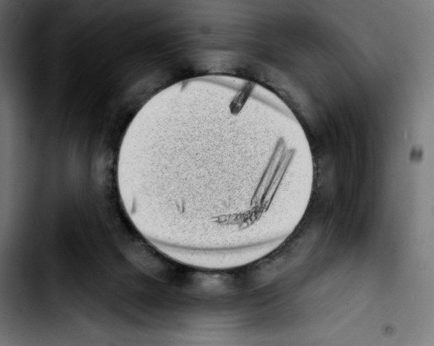 X0000103910073200810311442