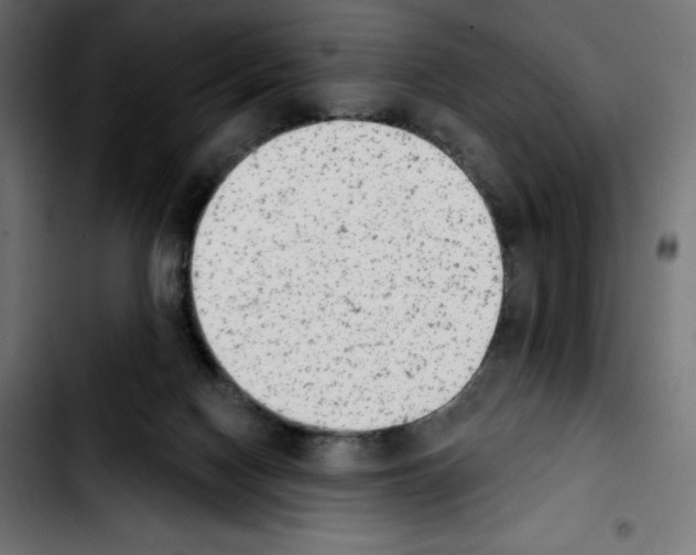 X0000103910074200810311442
