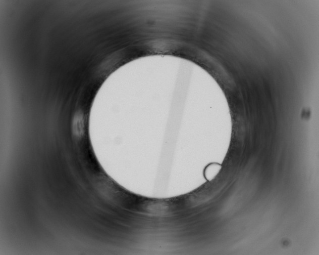 X0000103910075200810311442