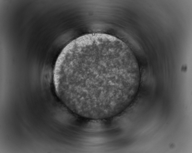 X0000103910076200810311442