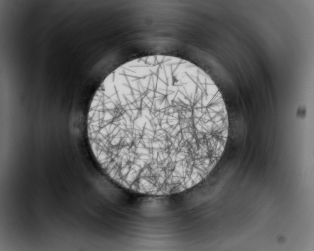 X0000103910077200810311442