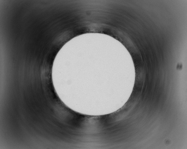 X0000103910078200810311442
