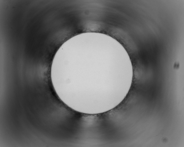 X0000103910079200810311442