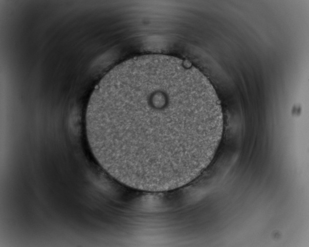 X0000103910080200810311442