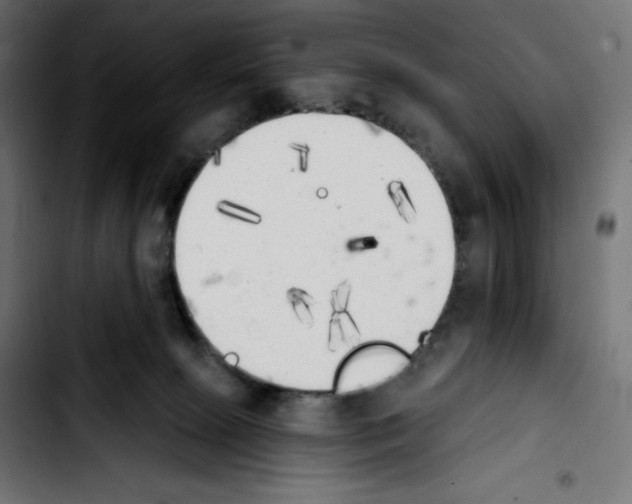 X0000103910081200810311442